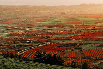 Image showing Beutiful sunset over colored agricultiral fields