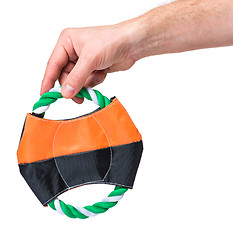 Image showing Hand with dog toy