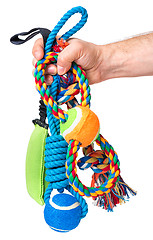 Image showing Hand with dog toy