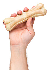 Image showing Hand with dog bone