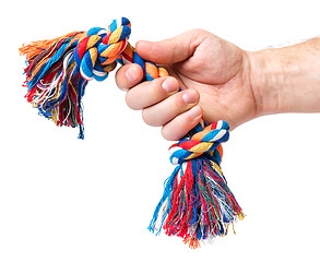Image showing Hand with dog toy