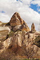 Image showing Rose valley near Goreme, Turkey