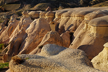 Image showing Rose valley near Goreme, Turkey