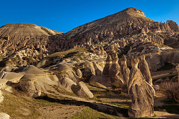 Image showing Rose valley near Goreme, Turkey