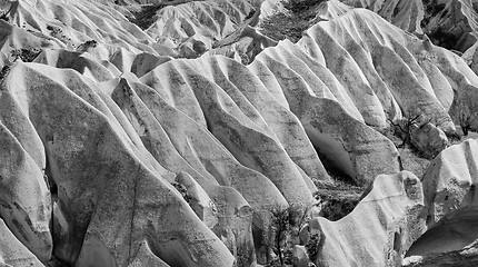 Image showing Rose valley near Goreme, Turkey