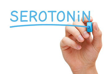 Image showing Hand Writing Serotonin With Blue Marker