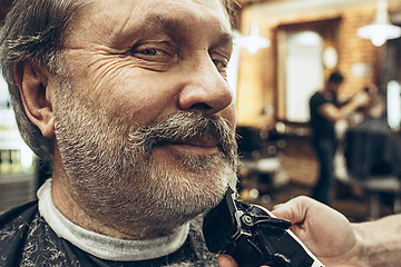 Image showing Close-up side view portrait of handsome senior bearded caucasian man getting beard grooming in modern barbershop.