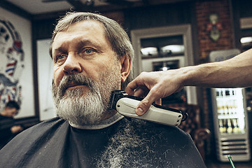 Image showing Close-up side view portrait of handsome senior bearded caucasian man getting beard grooming in modern barbershop.