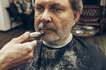 Image showing Close-up side view portrait of handsome senior bearded caucasian man getting beard grooming in modern barbershop.