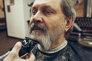 Image showing Close-up side view portrait of handsome senior bearded caucasian man getting beard grooming in modern barbershop.