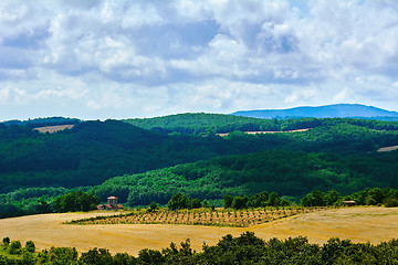 Image showing Mountain Landscape of Bulgaria