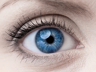 Image showing Blue woman single eye