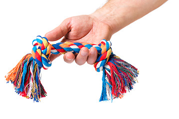 Image showing Hand with dog toy