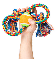 Image showing Hand with dog toy