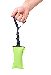 Image showing Hand with dog toy