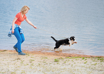 Image showing Australian shepherd puppy