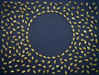 Image showing Pumpkin seeds frame on black slate background