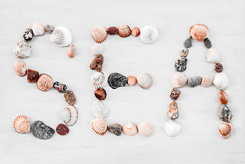 Image showing SEA written with seashells on white wooden surface