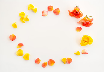 Image showing Rose petals frame on white background