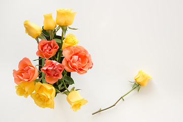 Image showing Yellow and pink roses on white background