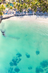 Image showing Aerial view of amazing tropical white sandy beach with palm leaves umbrellas and turquoise sea, Mauritius.