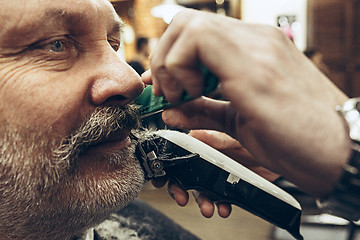 Image showing Close-up side view portrait of handsome senior bearded caucasian man getting beard grooming in modern barbershop.