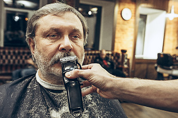 Image showing Close-up side view portrait of handsome senior bearded caucasian man getting beard grooming in modern barbershop.