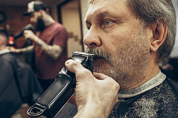 Image showing Close-up side view portrait of handsome senior bearded caucasian man getting beard grooming in modern barbershop.