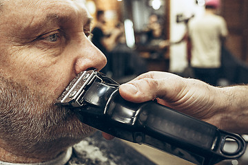 Image showing Close-up side view portrait of handsome senior bearded caucasian man getting beard grooming in modern barbershop.