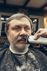 Image showing Close-up side view portrait of handsome senior bearded caucasian man getting beard grooming in modern barbershop.