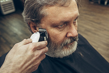 Image showing Close-up side view portrait of handsome senior bearded caucasian man getting beard grooming in modern barbershop.