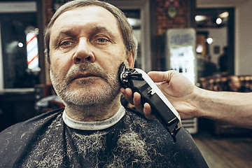 Image showing Close-up side view portrait of handsome senior bearded caucasian man getting beard grooming in modern barbershop.