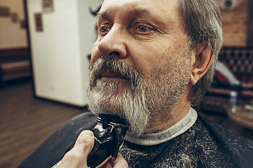 Image showing Close-up side view portrait of handsome senior bearded caucasian man getting beard grooming in modern barbershop.