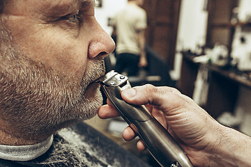 Image showing Close-up side profile view portrait of handsome senior bearded caucasian man getting beard grooming in modern barbershop.