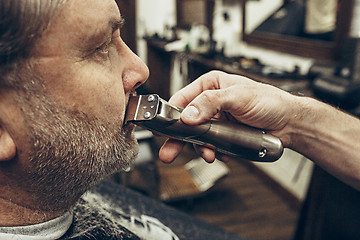 Image showing Close-up side profile view portrait of handsome senior bearded caucasian man getting beard grooming in modern barbershop.