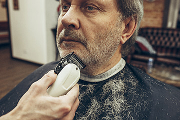 Image showing Close-up side view portrait of handsome senior bearded caucasian man getting beard grooming in modern barbershop.