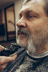 Image showing Close-up side view portrait of handsome senior bearded caucasian man getting beard grooming in modern barbershop.