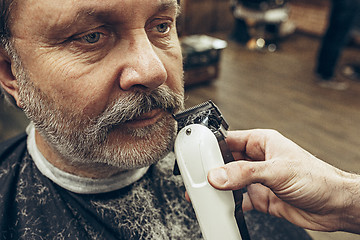 Image showing Close-up side view portrait of handsome senior bearded caucasian man getting beard grooming in modern barbershop.