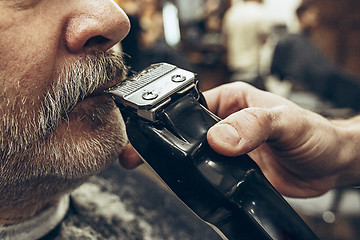 Image showing Close-up side view portrait of handsome senior bearded caucasian man getting beard grooming in modern barbershop.