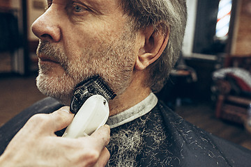 Image showing Close-up side view portrait of handsome senior bearded caucasian man getting beard grooming in modern barbershop.