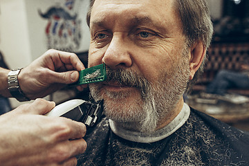 Image showing Close-up side view portrait of handsome senior bearded caucasian man getting beard grooming in modern barbershop.