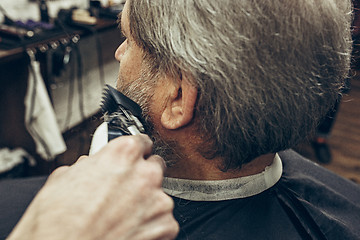 Image showing Close-up side back view handsome senior bearded caucasian man getting beard grooming in modern barbershop.