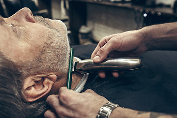 Image showing Close-up side profile view portrait of handsome senior bearded caucasian man getting beard grooming in modern barbershop.