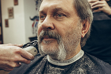 Image showing Close-up side view portrait of handsome senior bearded caucasian man getting beard grooming in modern barbershop.