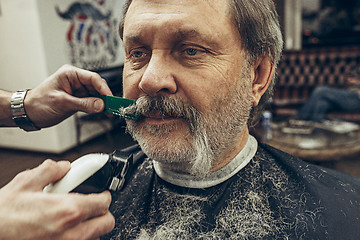 Image showing Close-up side view portrait of handsome senior bearded caucasian man getting beard grooming in modern barbershop.