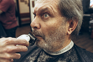 Image showing Close-up side view portrait of handsome senior bearded caucasian man getting beard grooming in modern barbershop.