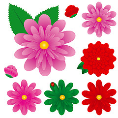 Image showing Big Colorful Gerbera Flowers Set