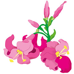 Image showing Lilies flower