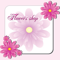Image showing Background with pink flowers, herberas, vizit card for flower shop