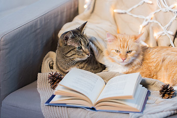 Image showing two cats lying on sofa with book at home